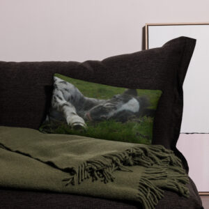 Sleepy horse pillow