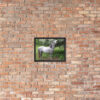 Dapple grey horse Framed poster - Image 4