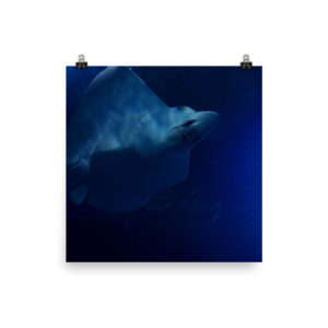 Deep blue sea stingray Poster