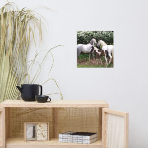Horse family Poster