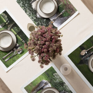Horse Placemat Set