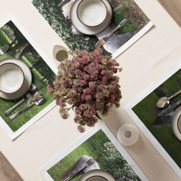 Horse Placemat Set