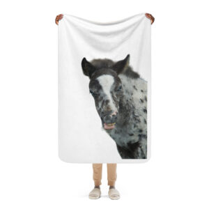Cheeky horse blanket